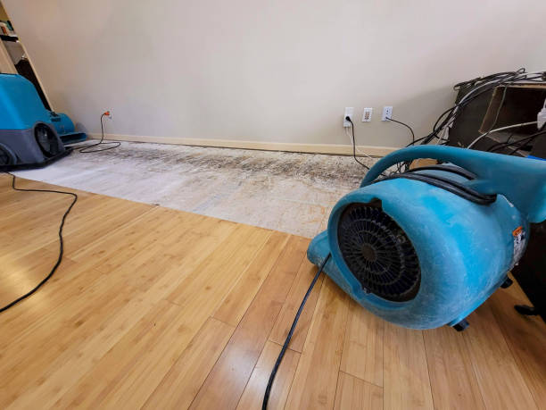 Professional Flood Damage Cleanup technician working in Bradford, RI